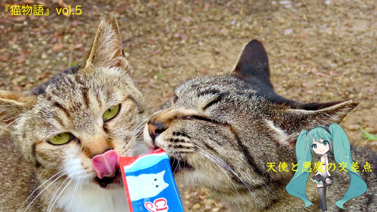 『猫物語』vol.5