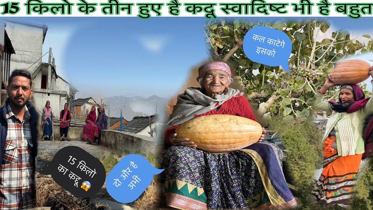 दादी के घर पर है बहुत सारे 15किलो के कदू|| दादी ने रखे हैं गर्मियों के लिए स्वादिष्ट भी बहुत है||