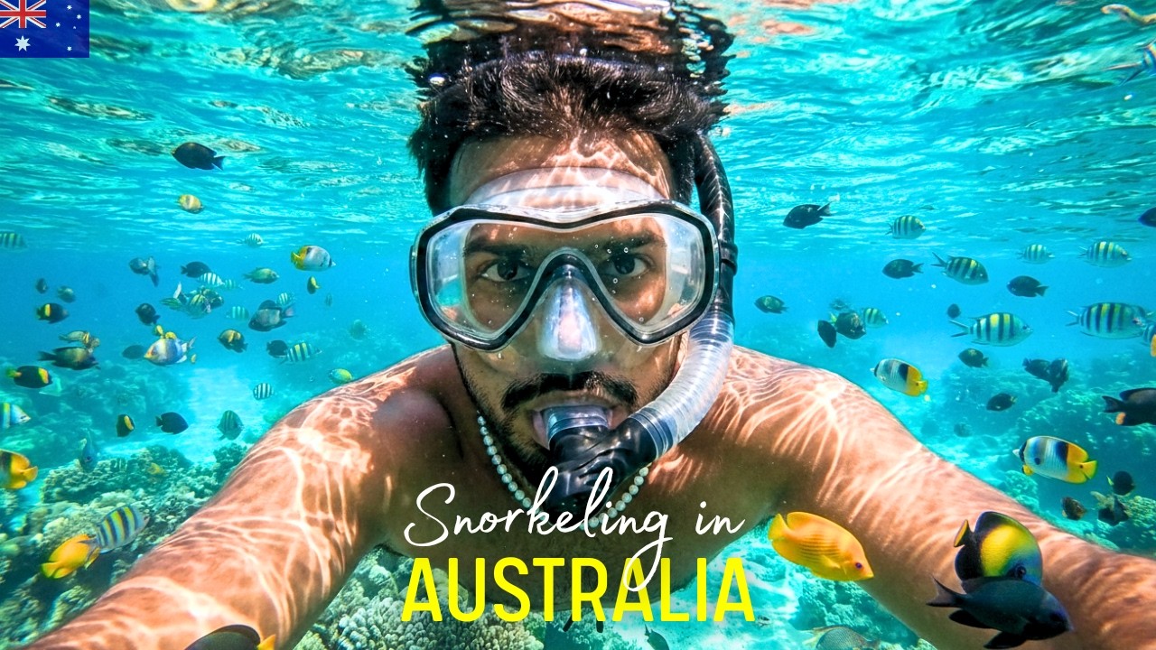 Snorkeling in Whitsunday Island 🇦🇺 | Day 7