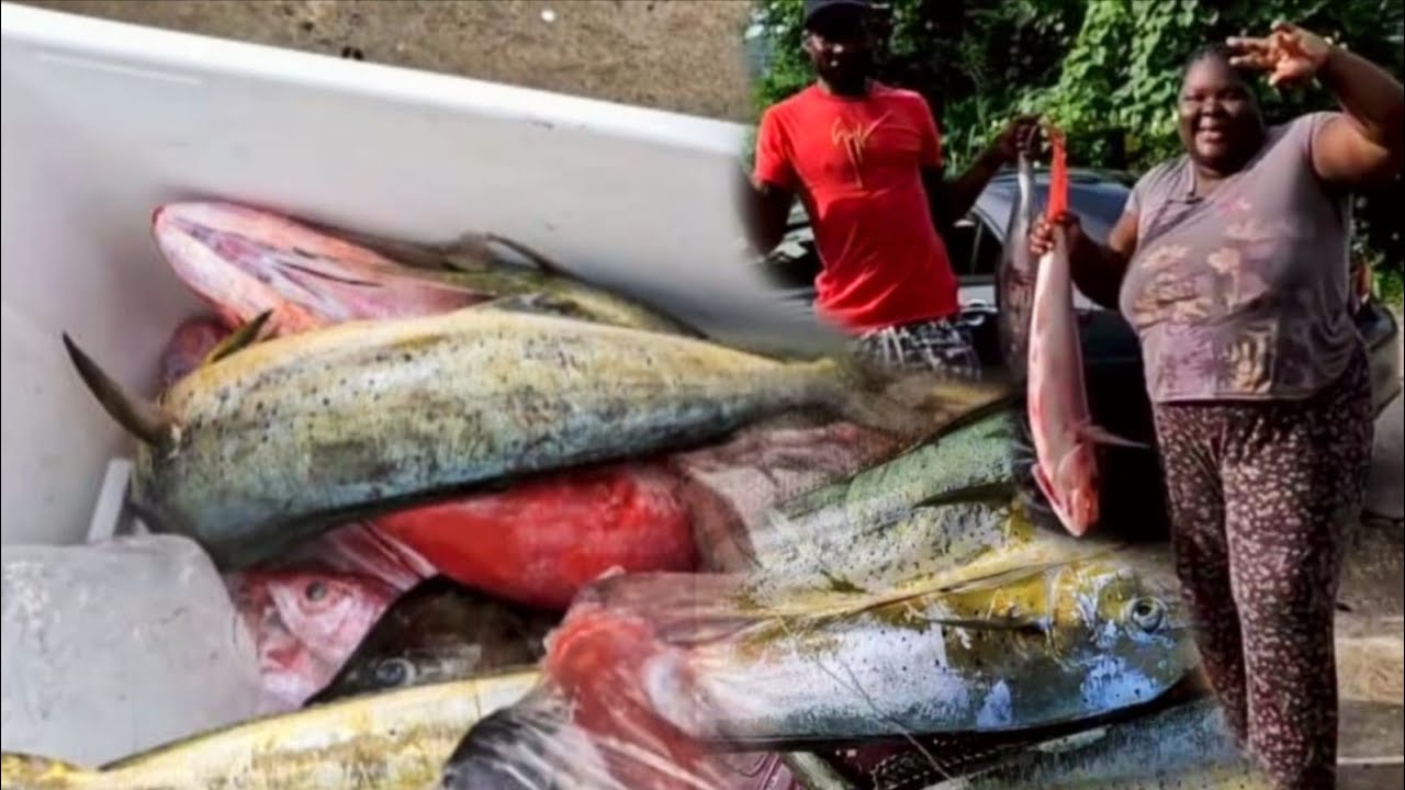 I WENT TO CATCH FISH FOR MY MOTHER