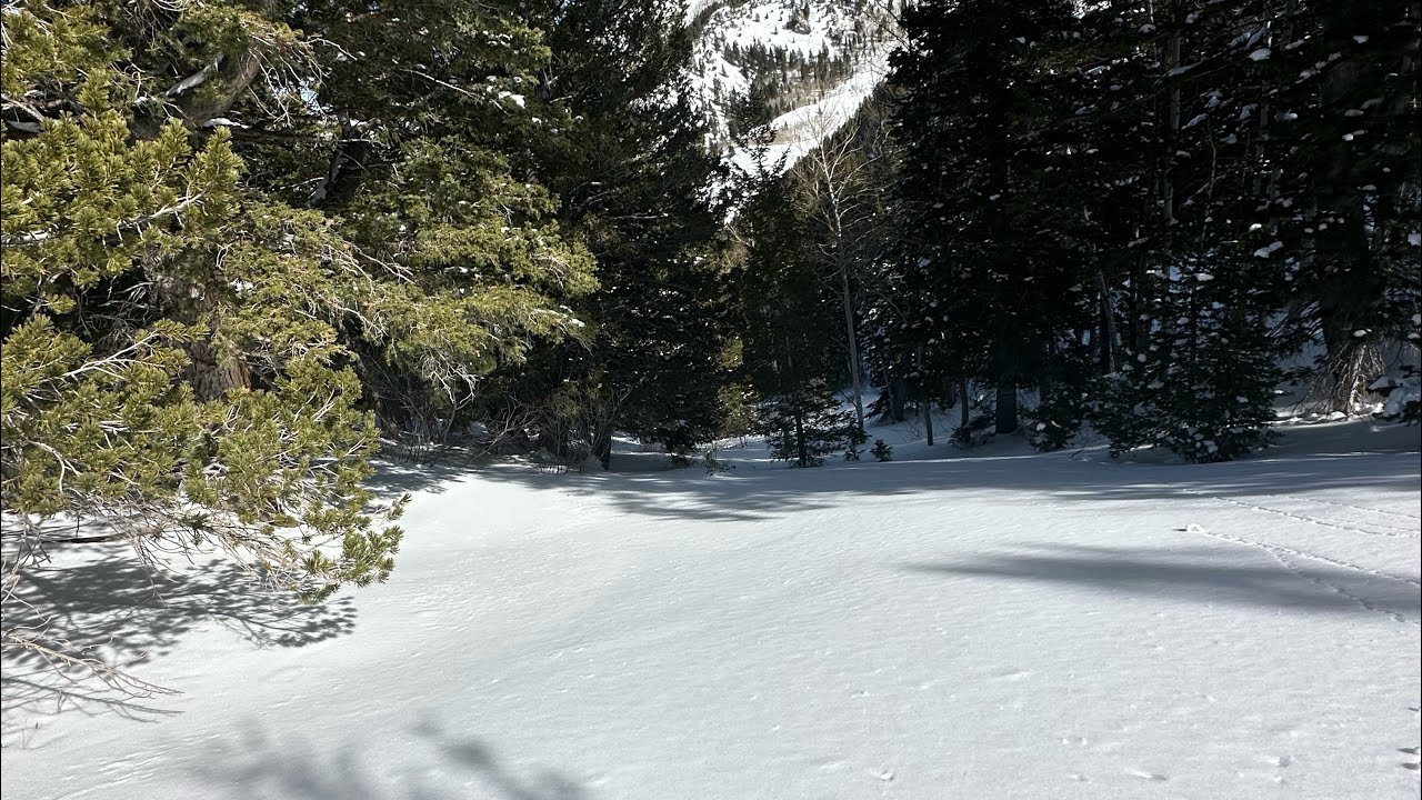Porter Fork Secret Stash Laps 022226