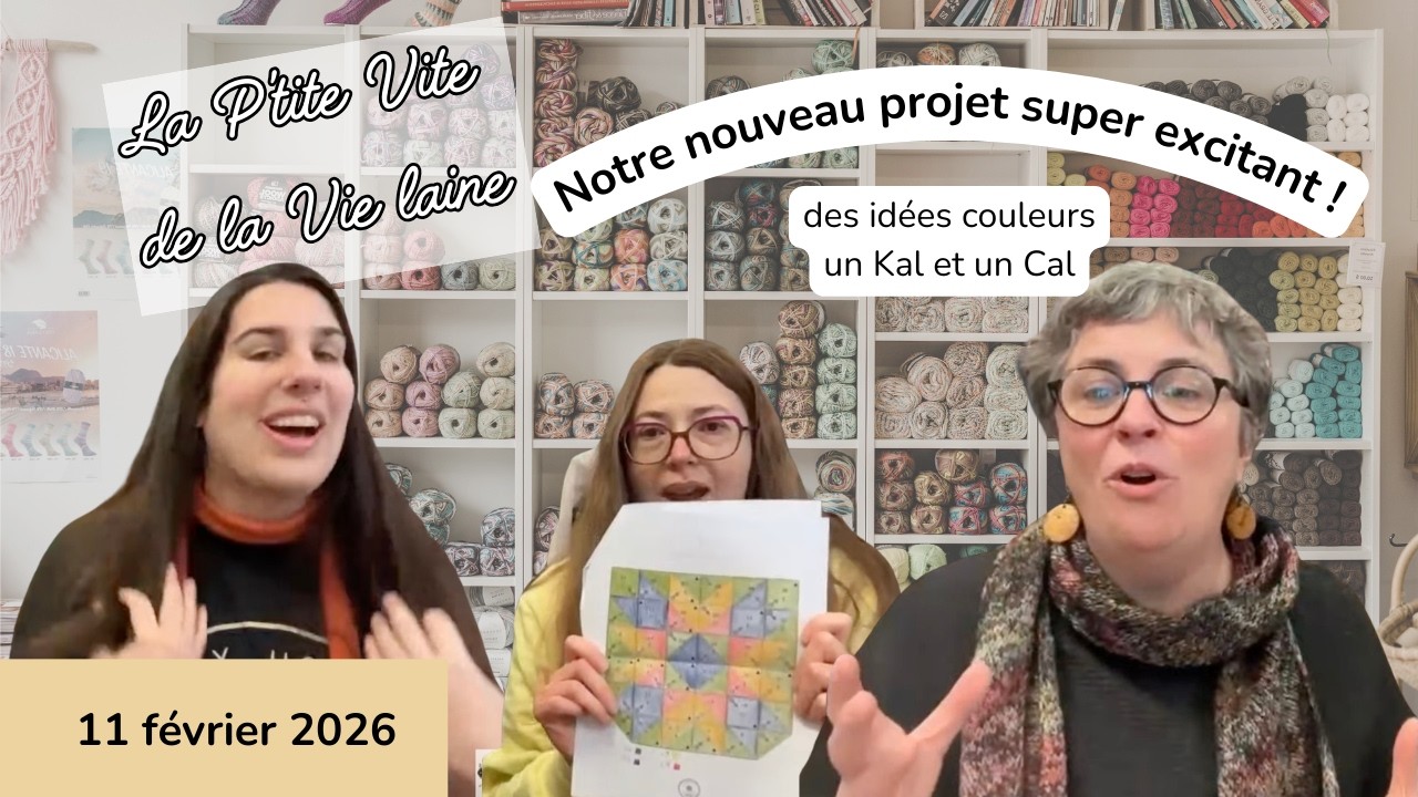 La P'tite vite de la Vie laine - 11 février 2026