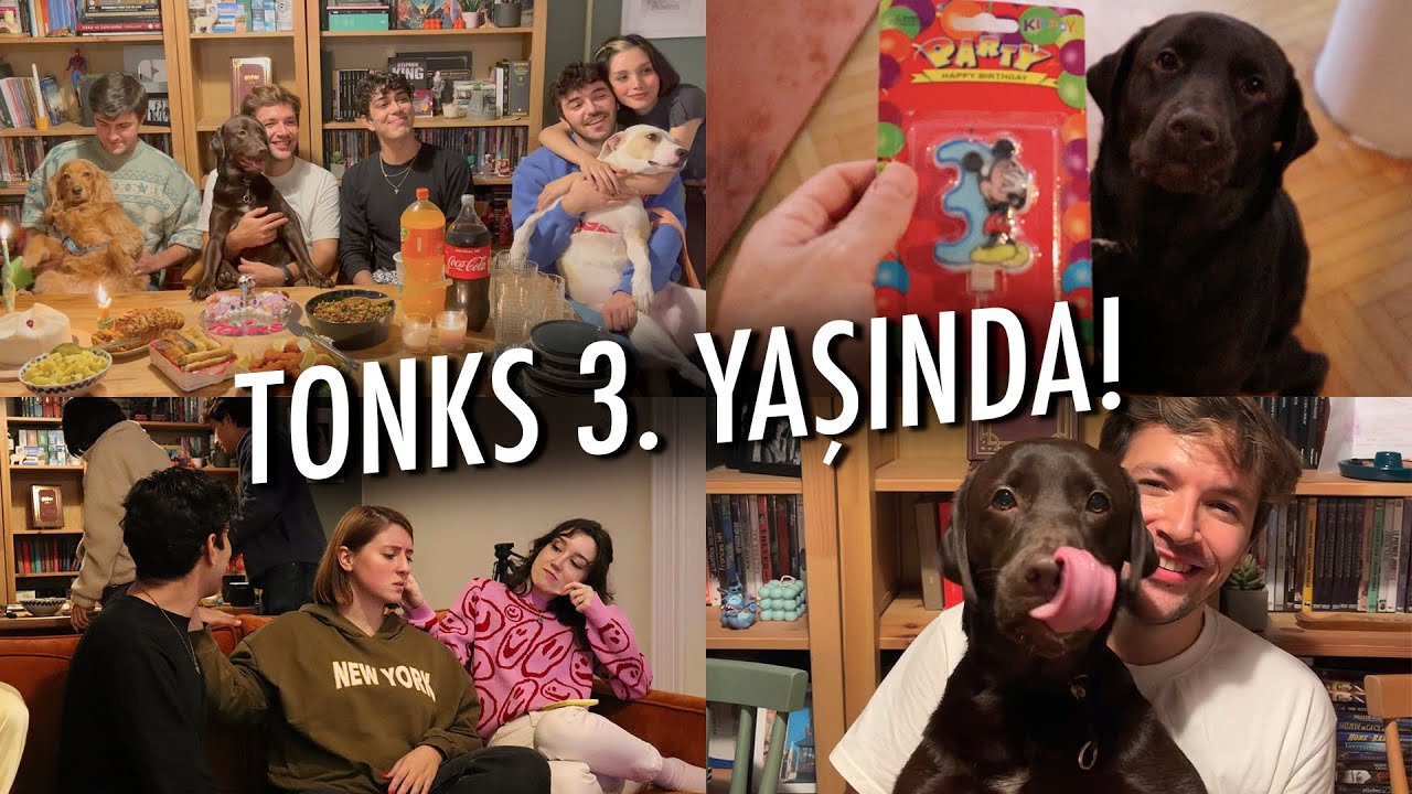 KÖPEĞİMİN DOĞUM GÜNÜ PARTİSİ! 🐶🎂 | VLOG