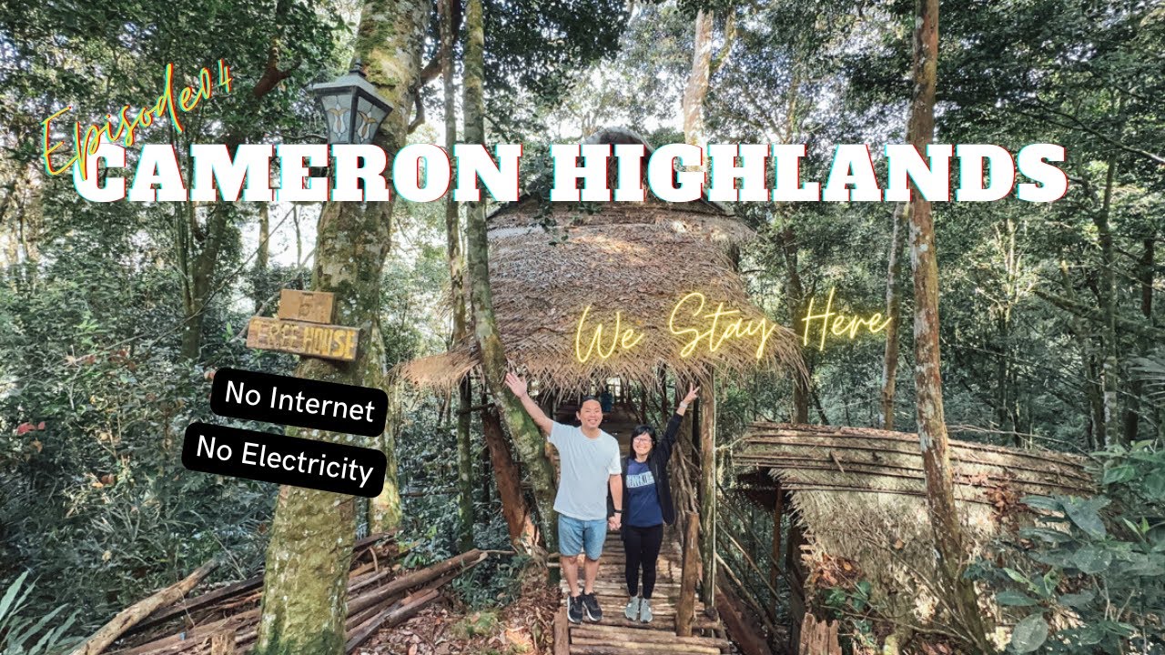 Cameron EP4｜误闯神秘森林树屋 Terra's Tree House