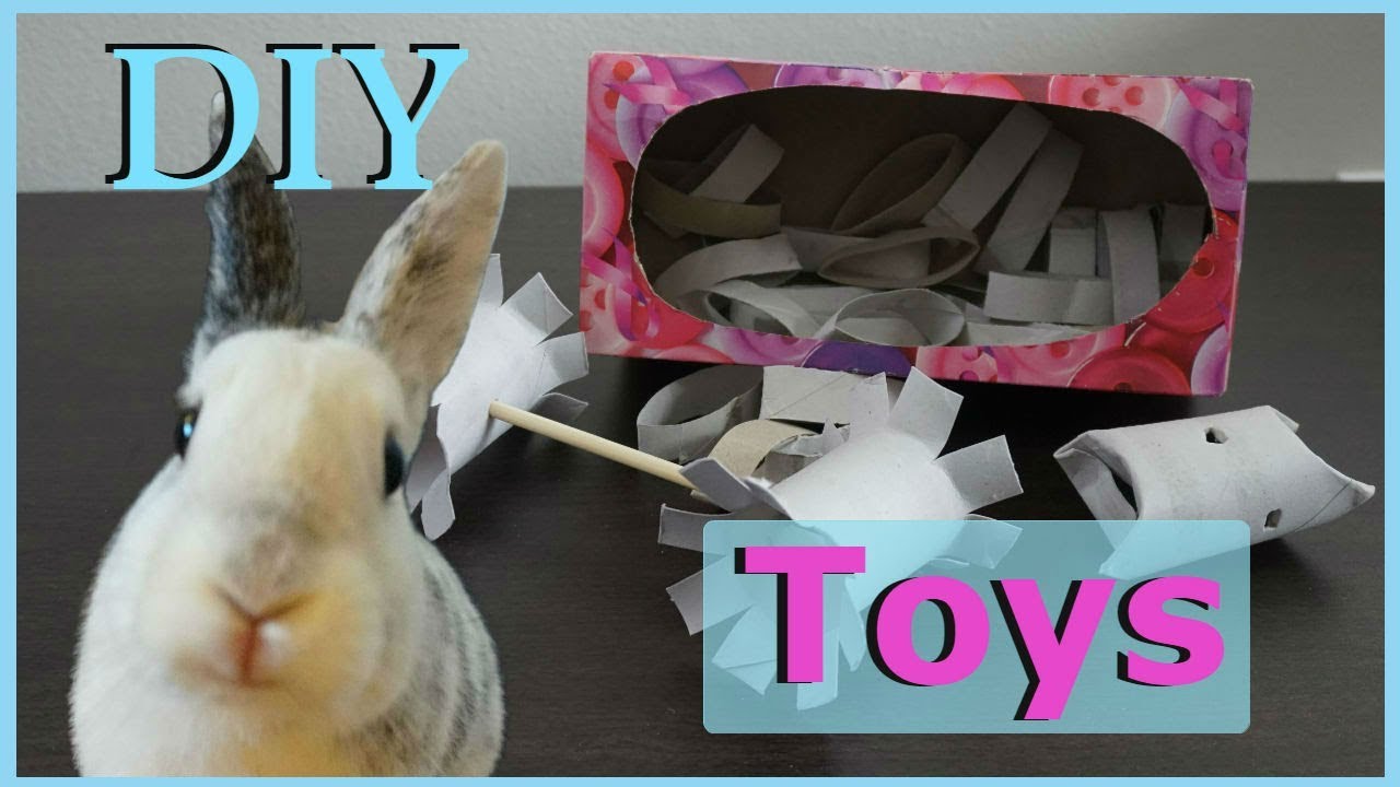 DIY Rabbit TOYS Using Toilet Paper Rolls
