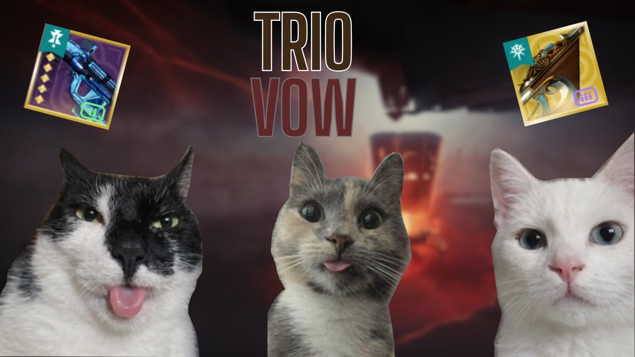 Trio Flawless Vow of the Disciple || Destiny 2: Renegades