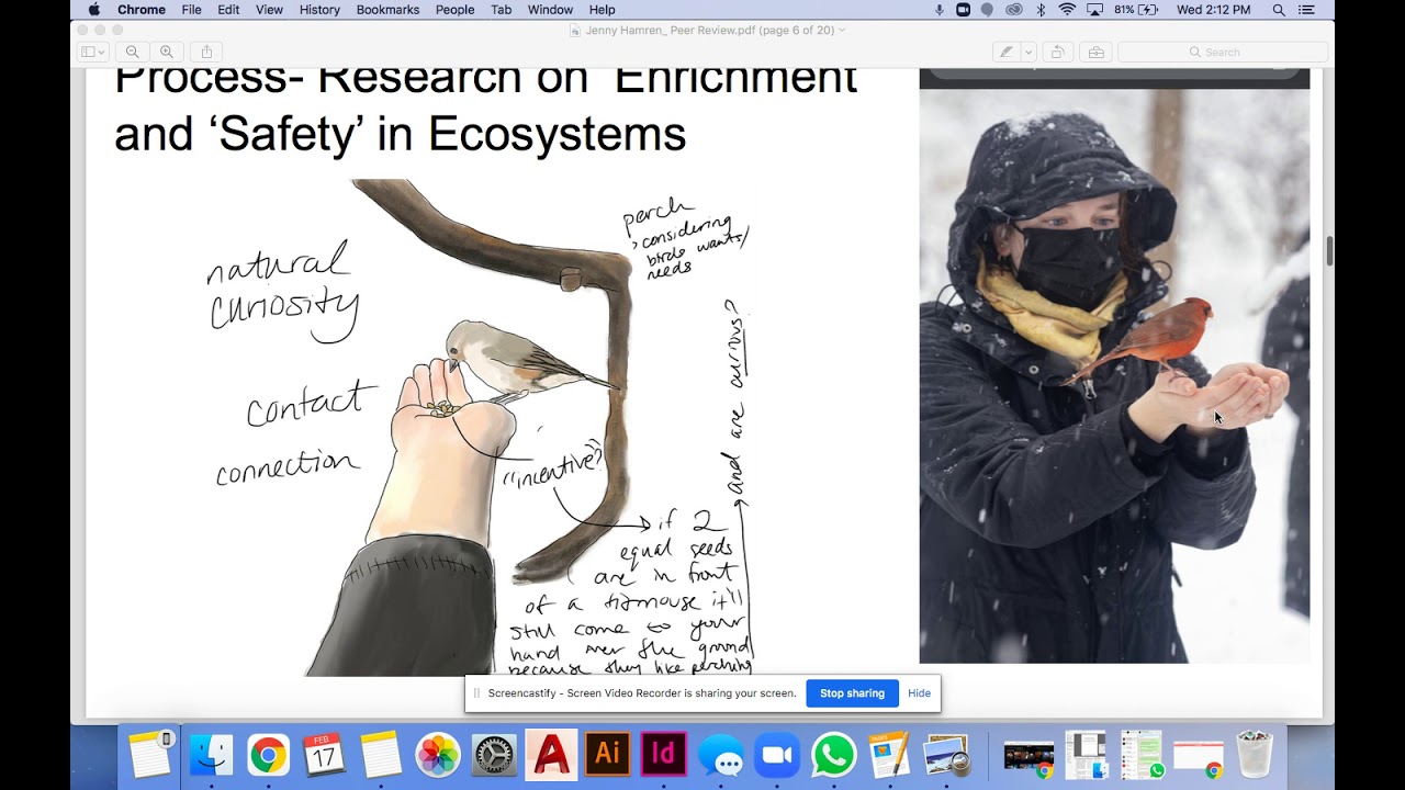 Jenny Hamren- Peer Review