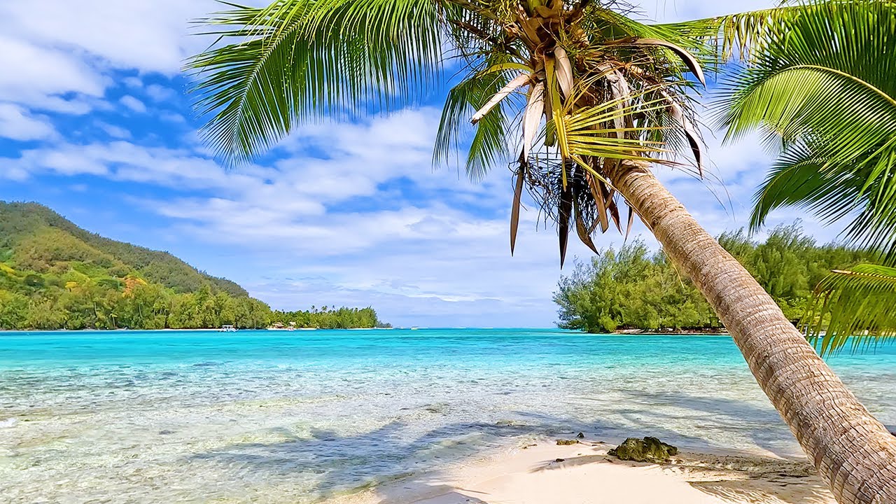 Relax on a Tropical Island in French Polynesia