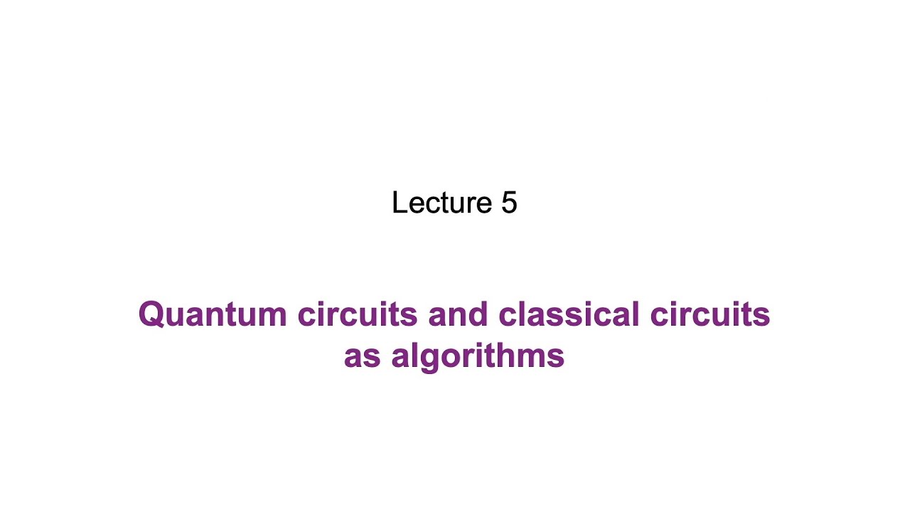 5: Quantum circuits and classical circuits as algorithms