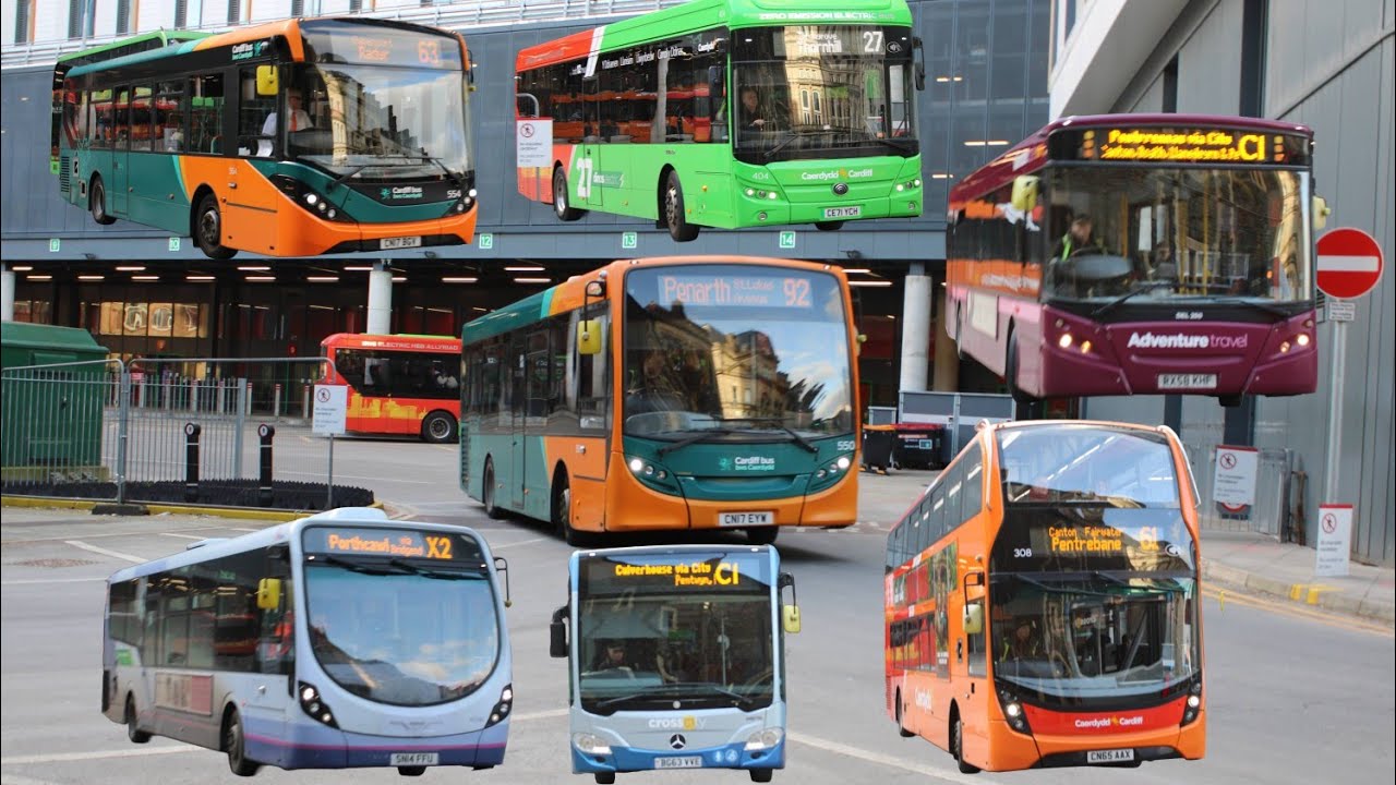 Buses at Cardiff 