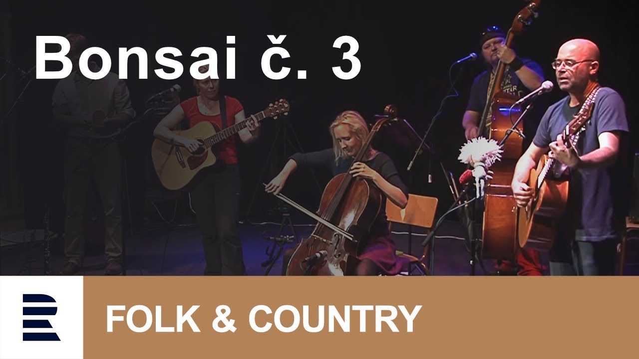 Bonsai č. 3 v Olomouci