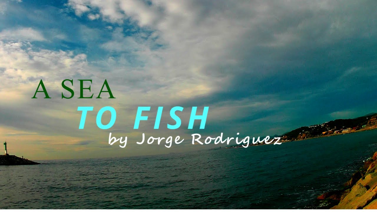 A SEA TO FISH BY JORGE  Parte 1. Surfcasting en Mongat Norte