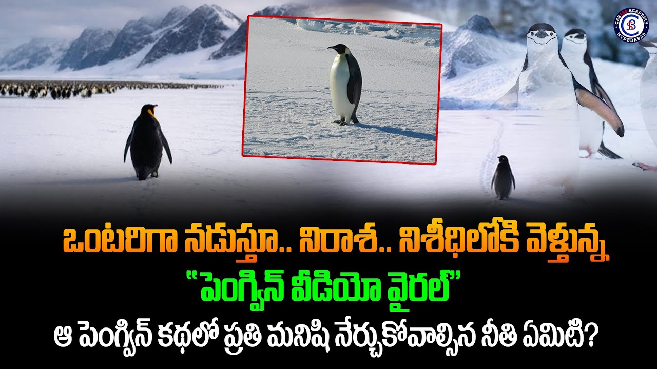ఒంటరిగా నడుస్తూ.. నిరాశ.. నిశీధిలోకి వెళ్తున్న 