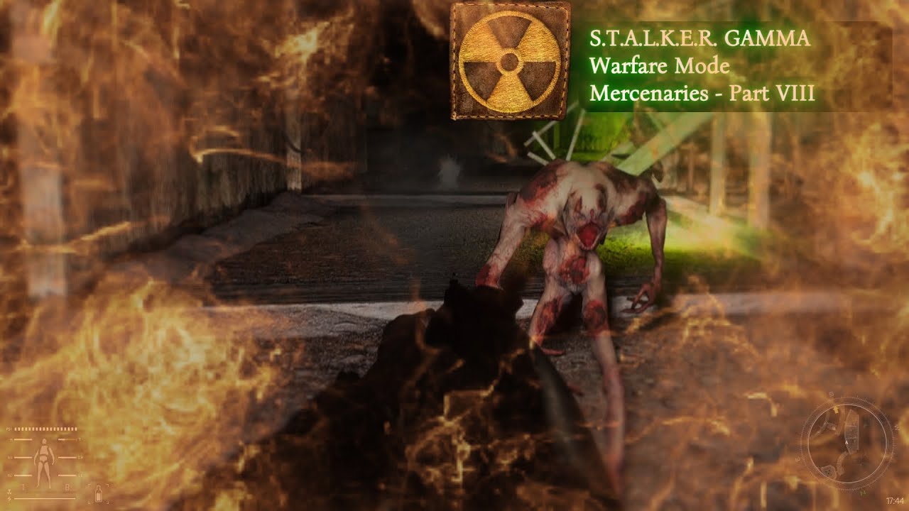 S.T.A.L.K.E.R. GAMMA - RCG - Storymode - Loners - Part 8