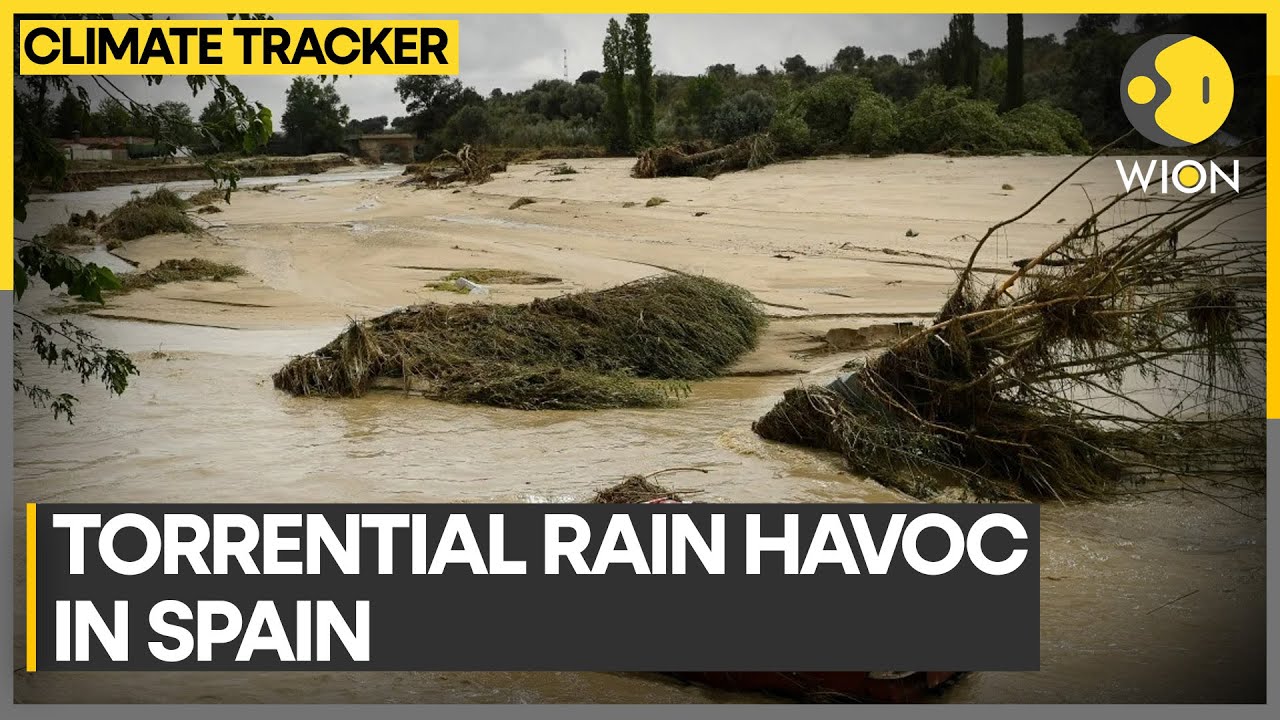 Spain's streets turn into rushing rivers | WION Climate Tracker