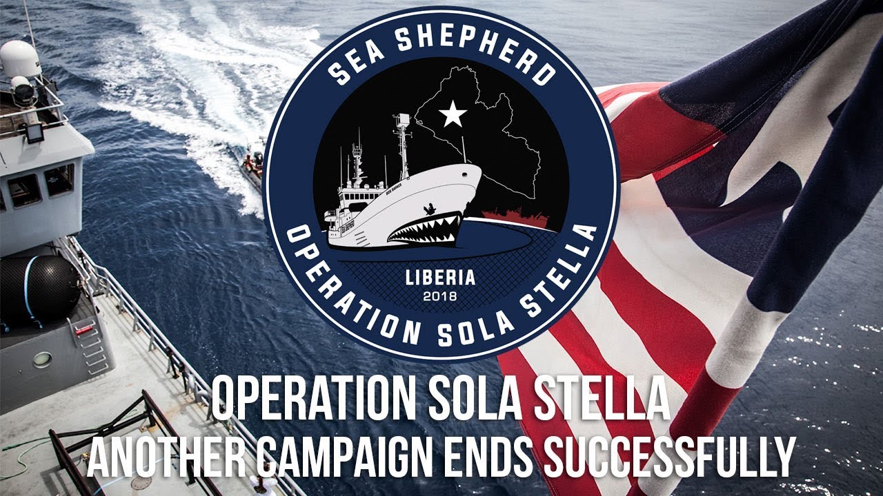 Operation Sola Stella: Another Campaign Ends Successfully