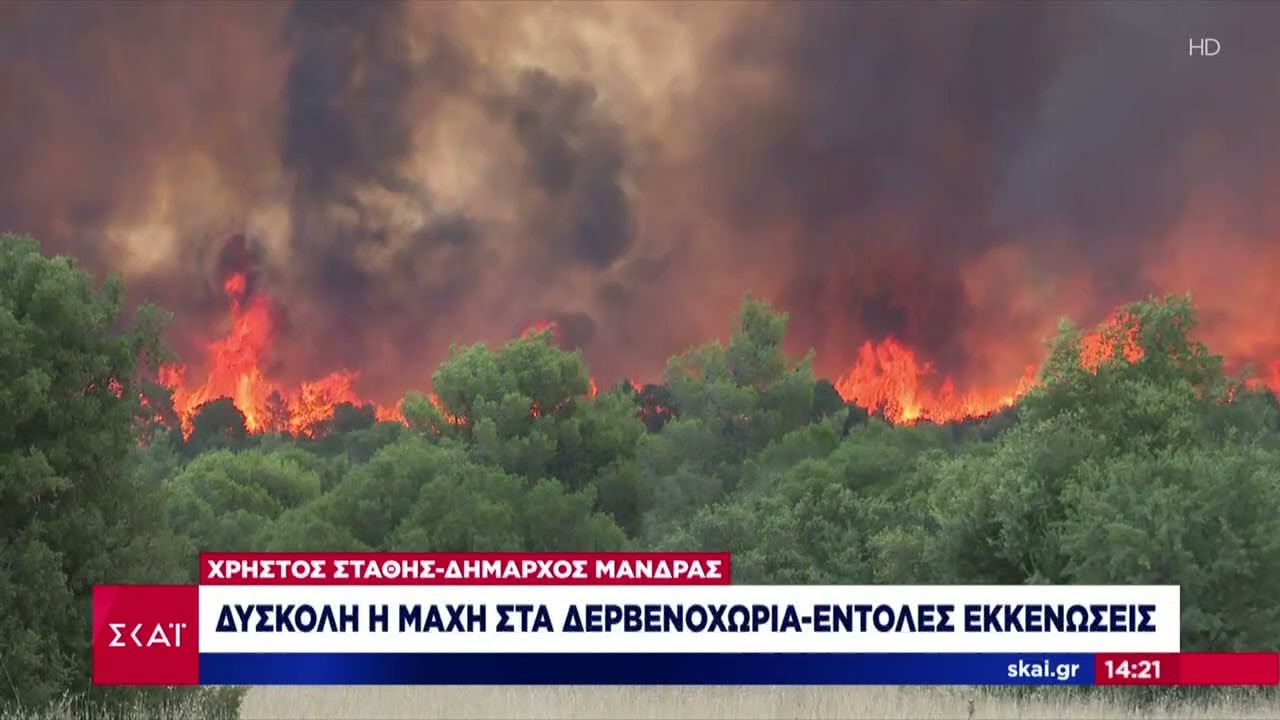 Δήμαρχος Μάνδρας: Δυστυχώς η φωτιά πέρασε από την παλιά Εθνική – Εκκενώνουμε οικισμούς | Ειδήσεις