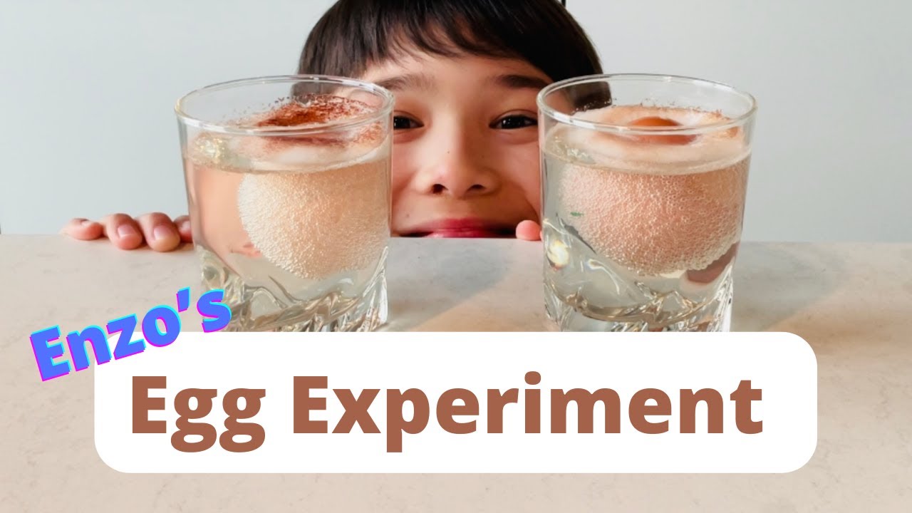 Egg in Vinegar Science Experiment | @Enzo TVidz | with SUBTITLES