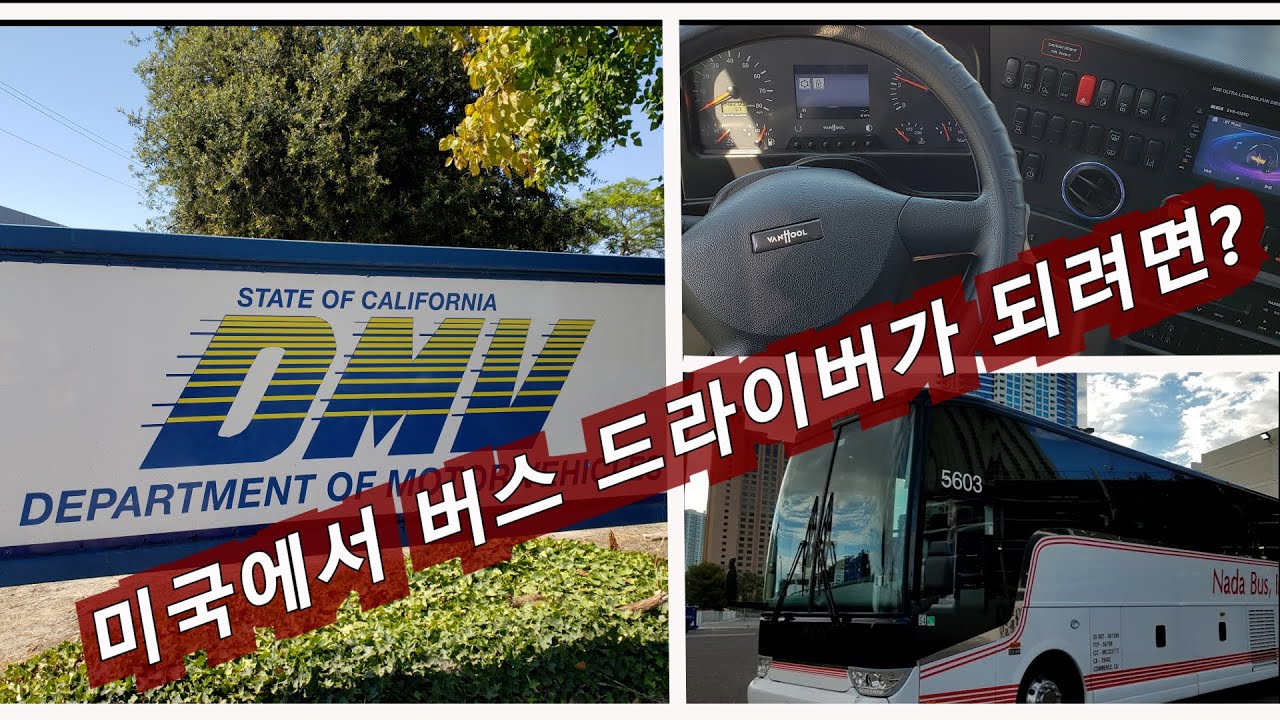 [미국에서 버스 드라이버가 되려면?]  모터코치(버스) 드라이버가 되기까지의 과정