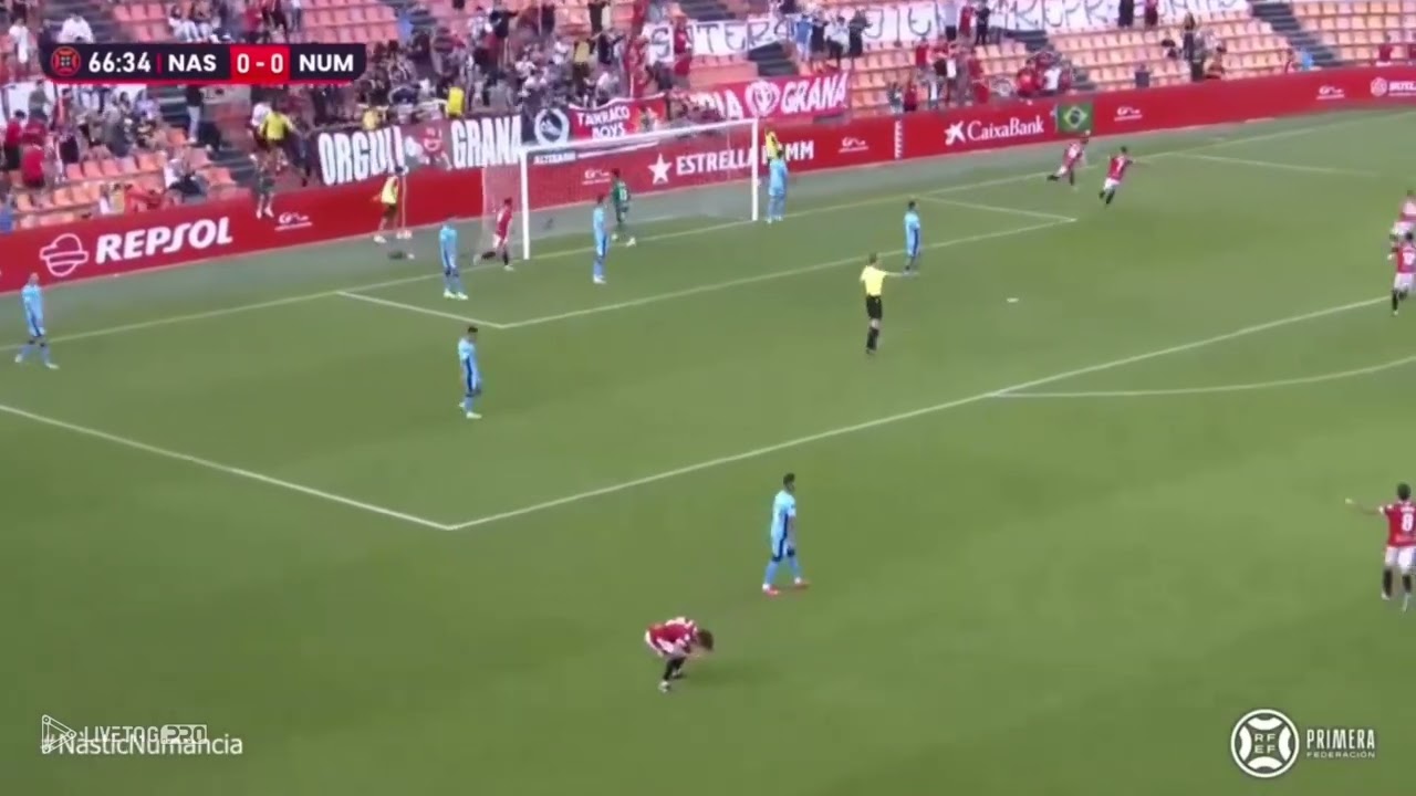 GUILLERMO FERNANDEZ-STRIKER-HIGHLIGHTS