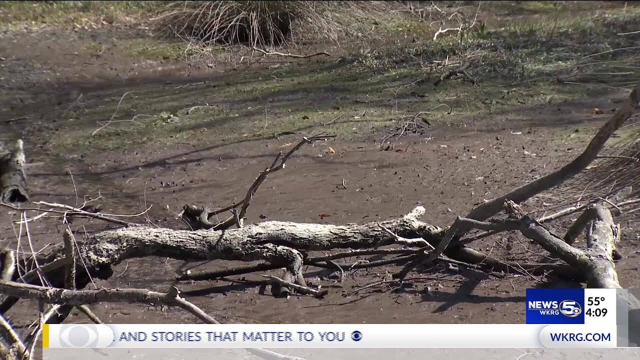 ADEM fines Elberta developer $78K, ordered to repair runoff damage to Wolf Bay