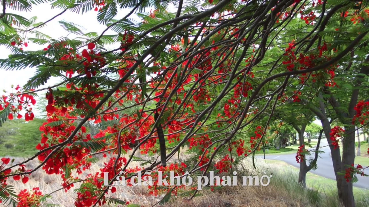 Cuối Tháng Năm