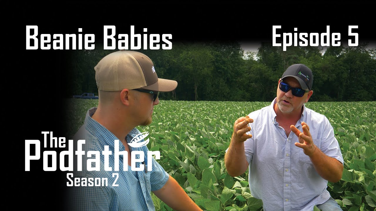 Podfather | 205 | Beanie Babies