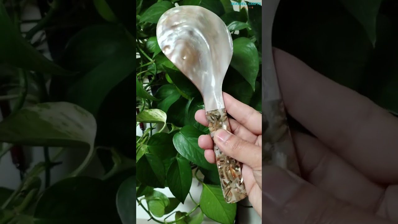 Mother of Pearl Rice Spoon Natural Shell Rice Paddle Heat Resistant Rice Cooker Spoon MOP Scoop