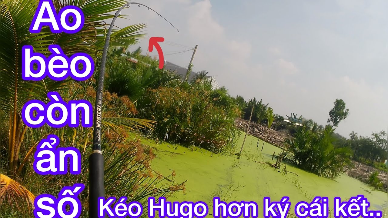 CAY KÚ..chạm trán khủng long nữa đường nổ dây\thư giãn dân dã