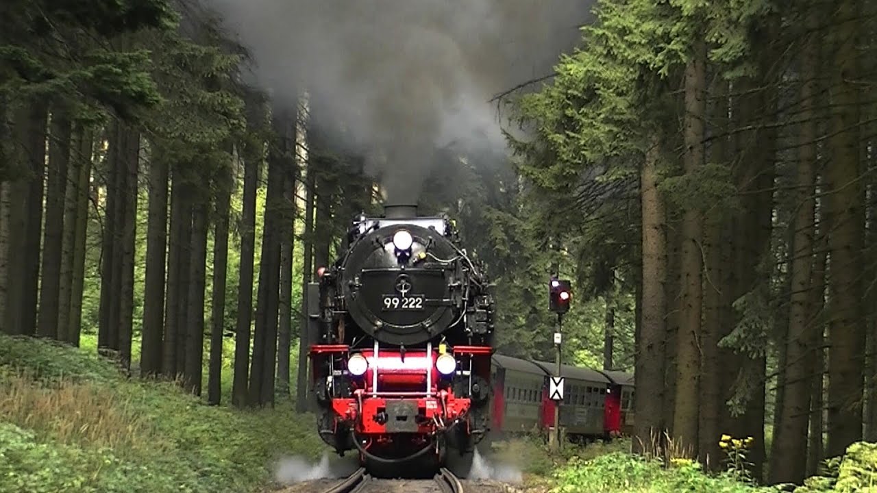 Volldampf auf der Brockenbahn | Bahnwanderung Schierke - Drei Annen Hohne