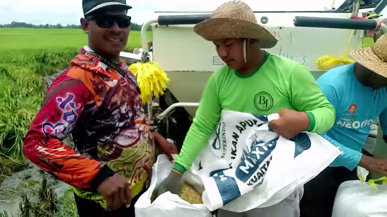 MOTONG DI DESA LANDEAN KEC.MODO KAB.LAMONGAN
