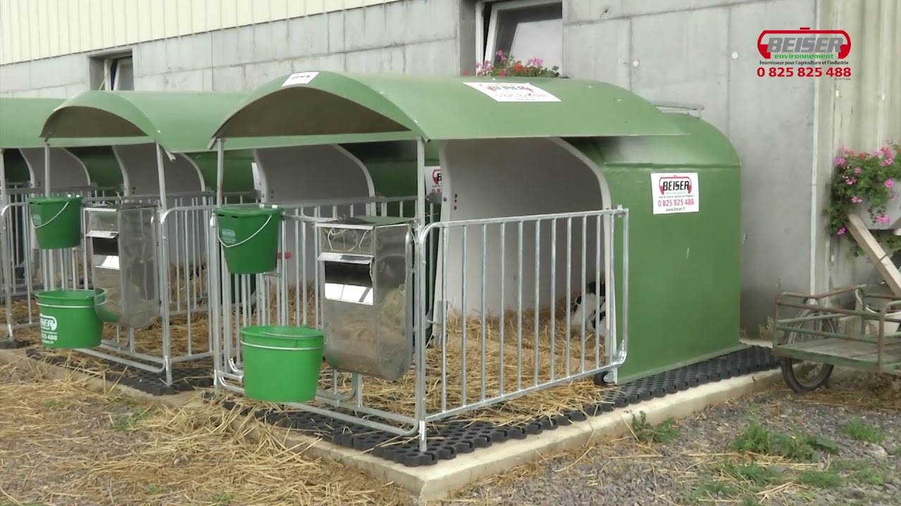 Témoignage client   Niches à veaux isolées