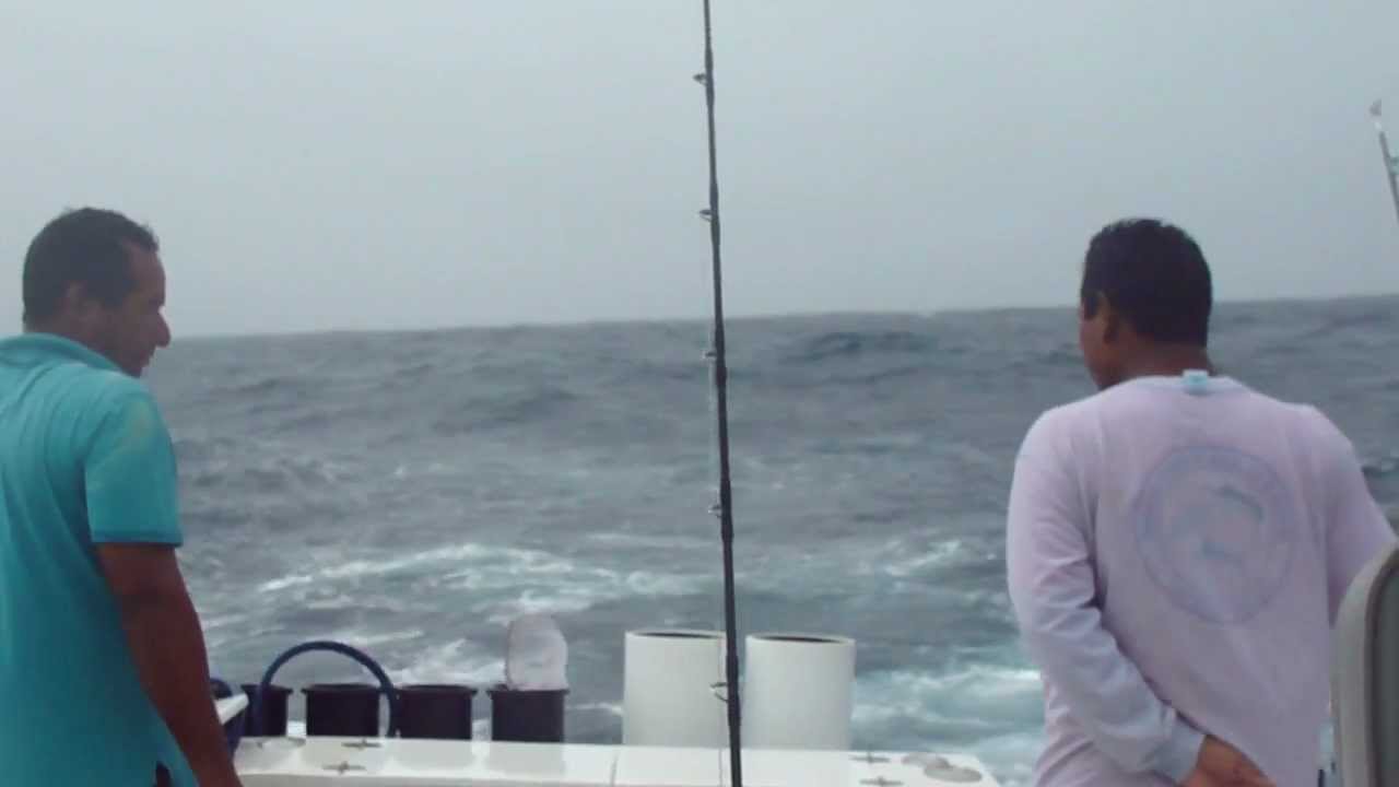 Albin 28 - Heavy Weather