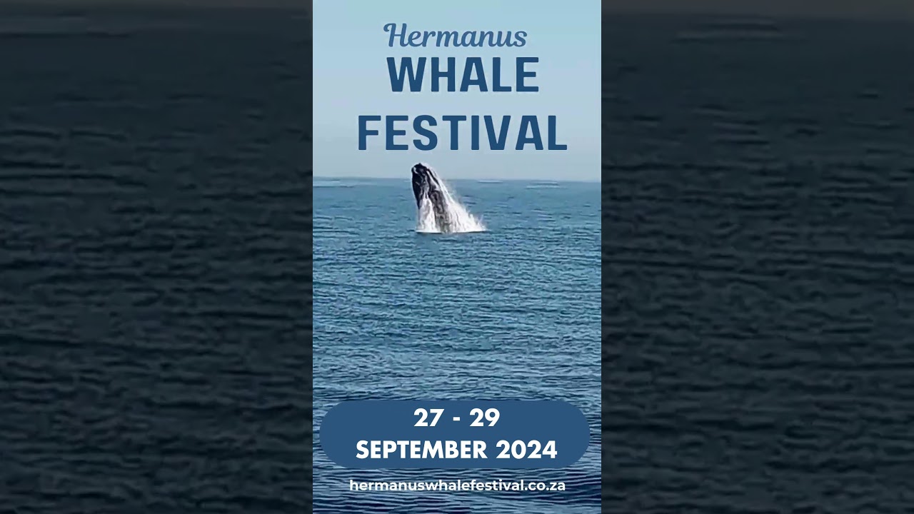 Hermanus Whale Festival 2024