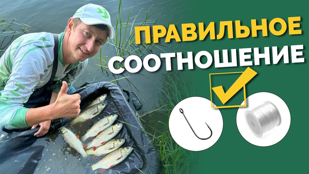 ⚠️ КАК 👉 подобрать крючок и толщину лески❓ ПРАВИЛЬНОЕ СООТНОШЕНИЕ!