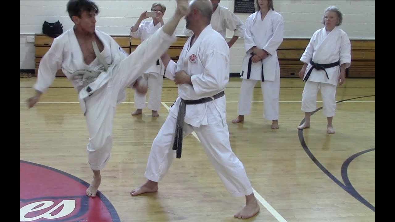 Hotton sensei, rotating around the center for kicking