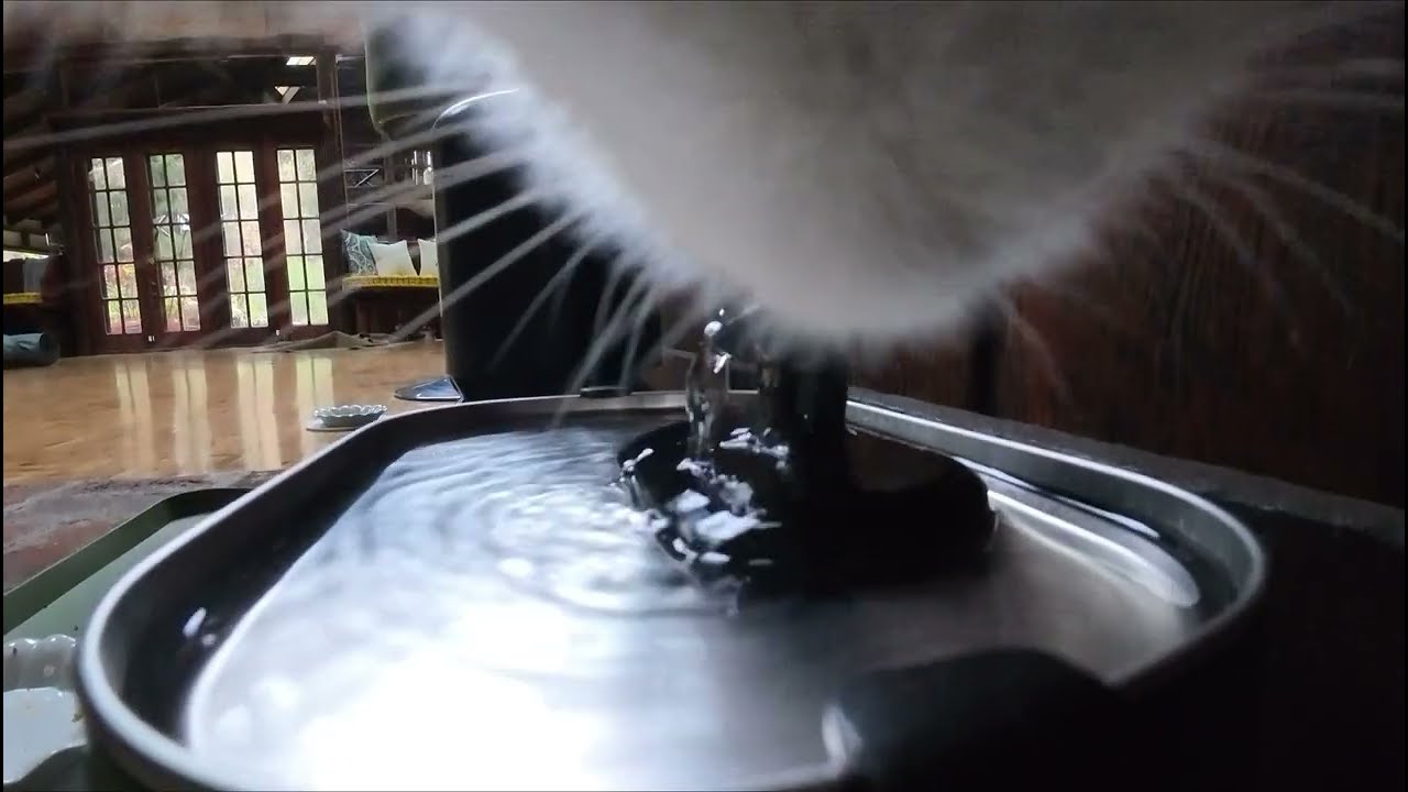 Petlibro Water Fountain Test - Satoshi the Savannah Highlander Kitten