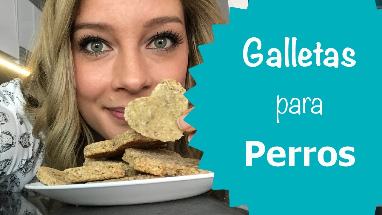 Galletas para Perros con sólo 4 ingredientes