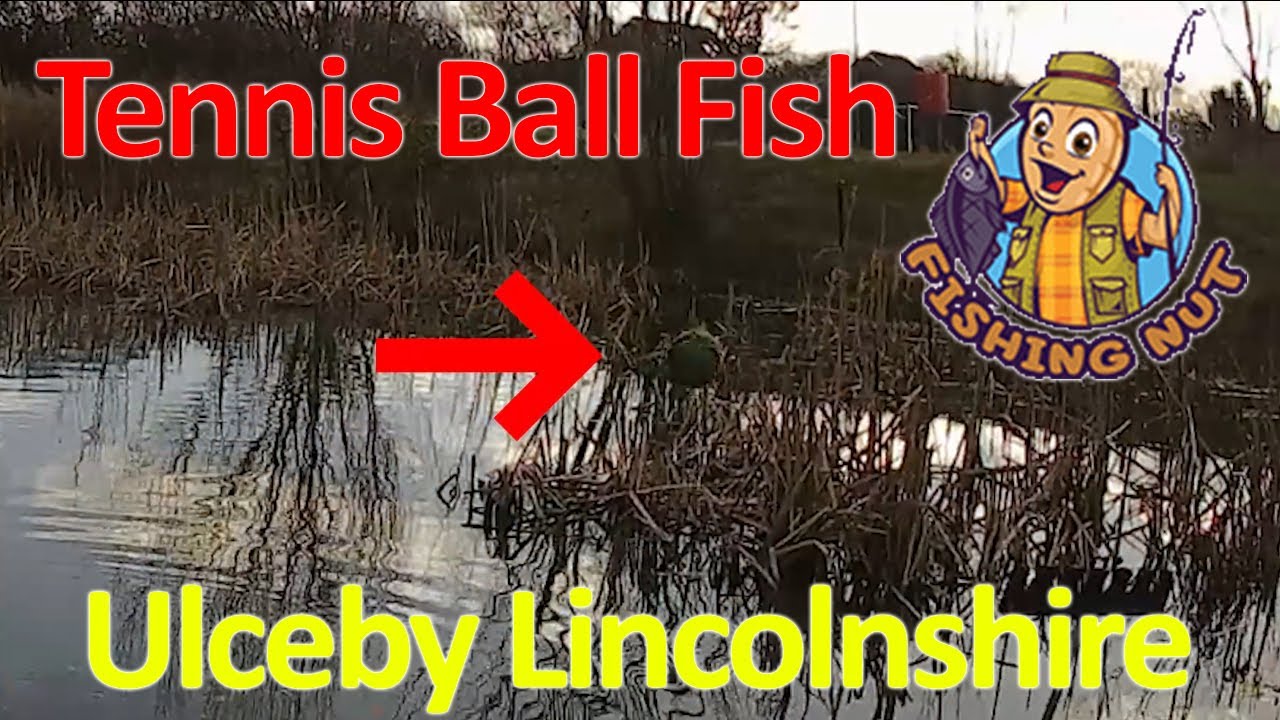 Fishing at Ulceby North Lincolnshire & The Tennis Ball Fish
