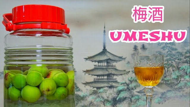 UMESHU - Il liquore di prugne giapponese (videoricetta)