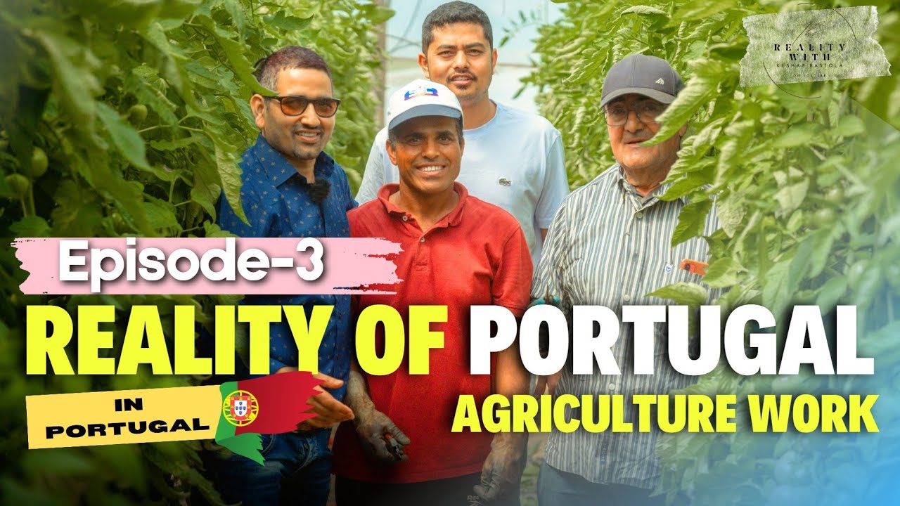 Real situation in Portugal agricultural work || agriculture work in Portugal 2024 ||(Keshab Bastola)