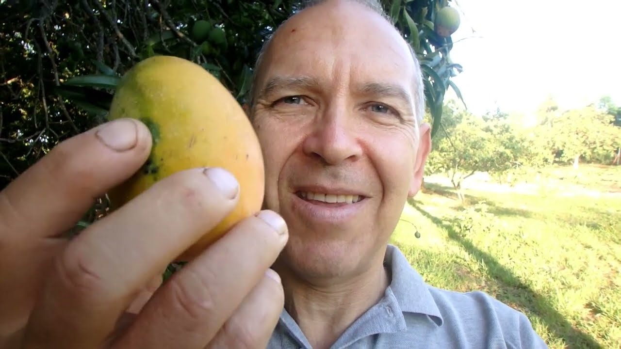 PARAGUAY WATCH HERE A PROPERTY WITH MANY FRUIT TREES LIKE THE GARDEN EDEN IN PARAGUAY