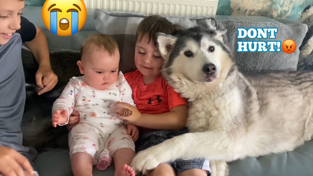 She Protects Her!! 😭.