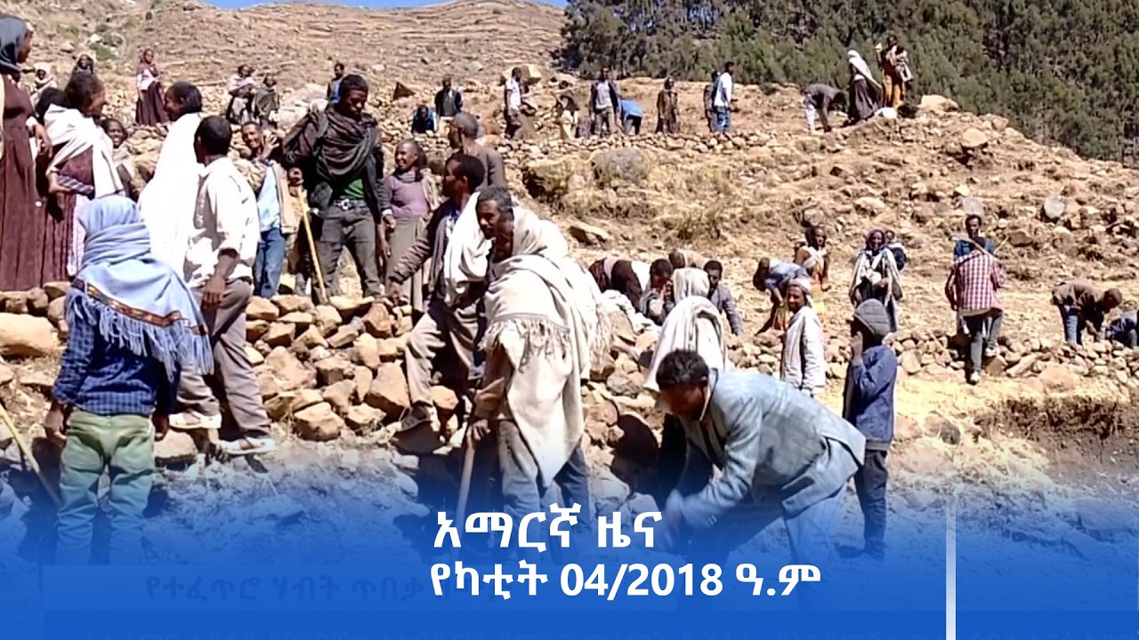 የምሽት 2፡00 ሰዓት አማርኛ ዜና | የካቲት 04/2018 ዓ.ም | #Tigrai_Television | #ቴሌቪዥን_ትግራይ