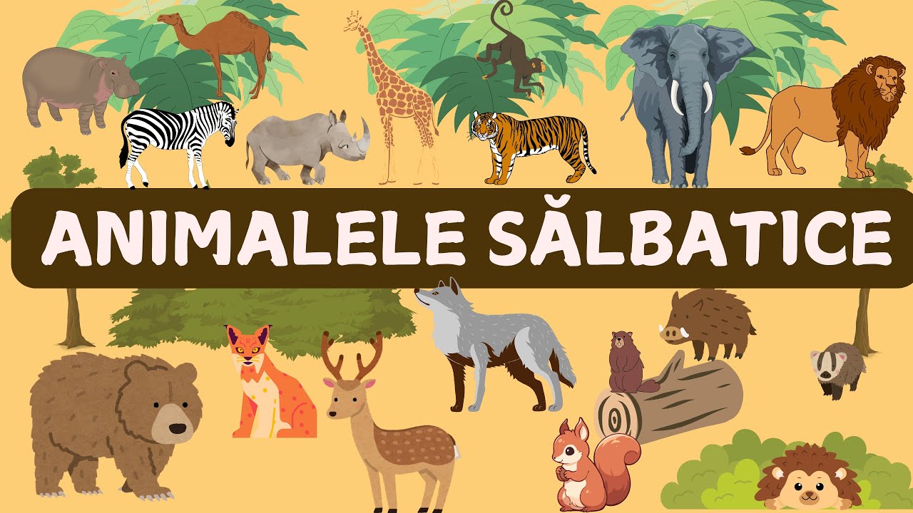 Animalele salbatice | Educational pentru copii | Casuta Cunoasterii
