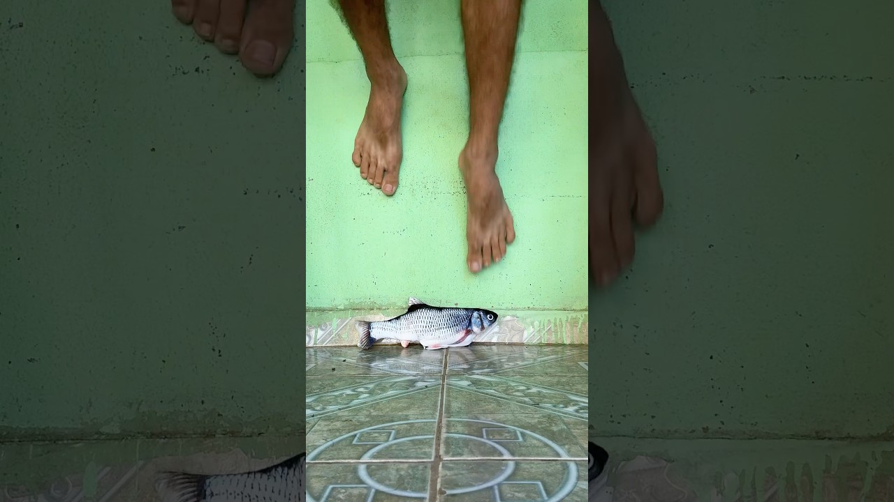 Reverse jha jha rijha #asoka #fy #pageforyou