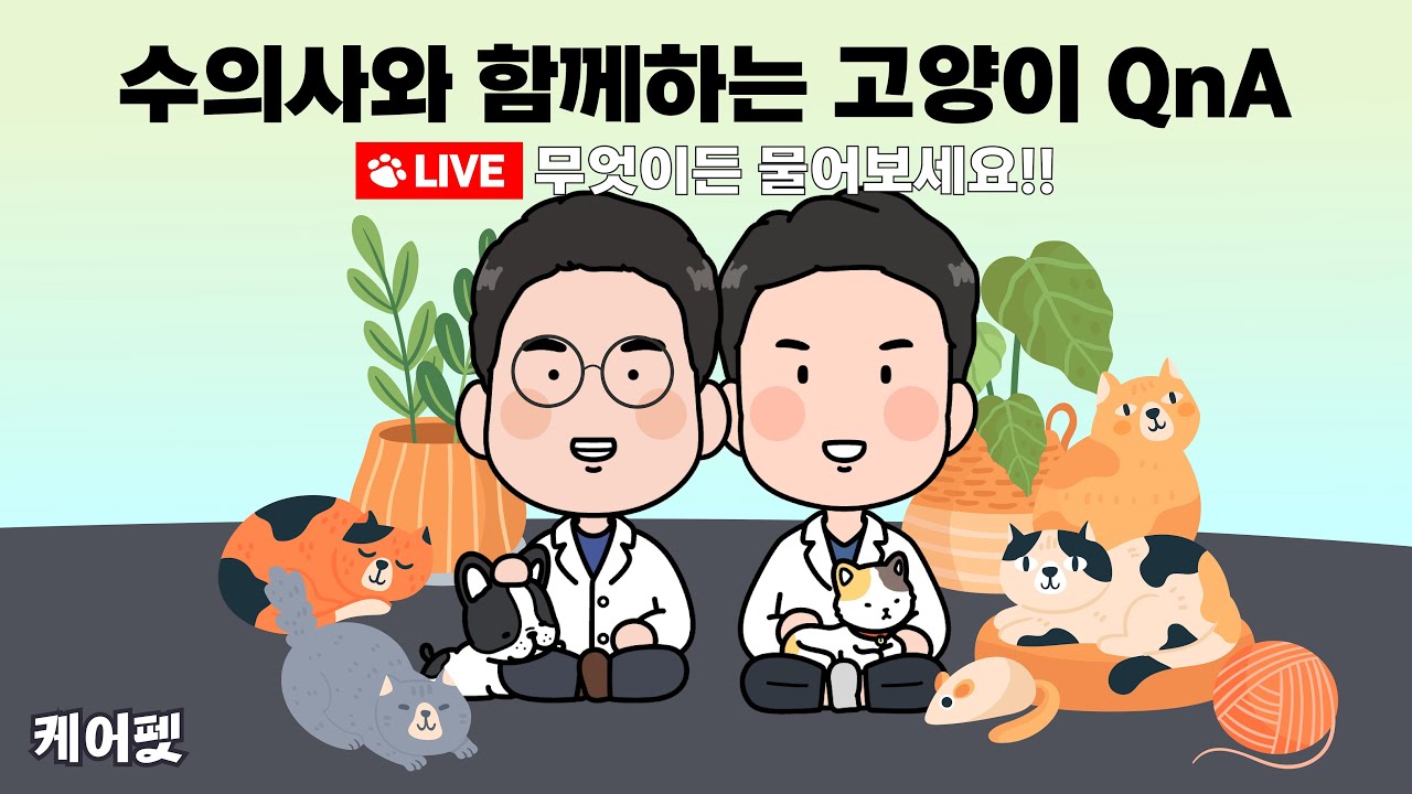 케어펫 수의사들 라이브 Q&A (고양이, 강아지 질문 답변해드립니다!)