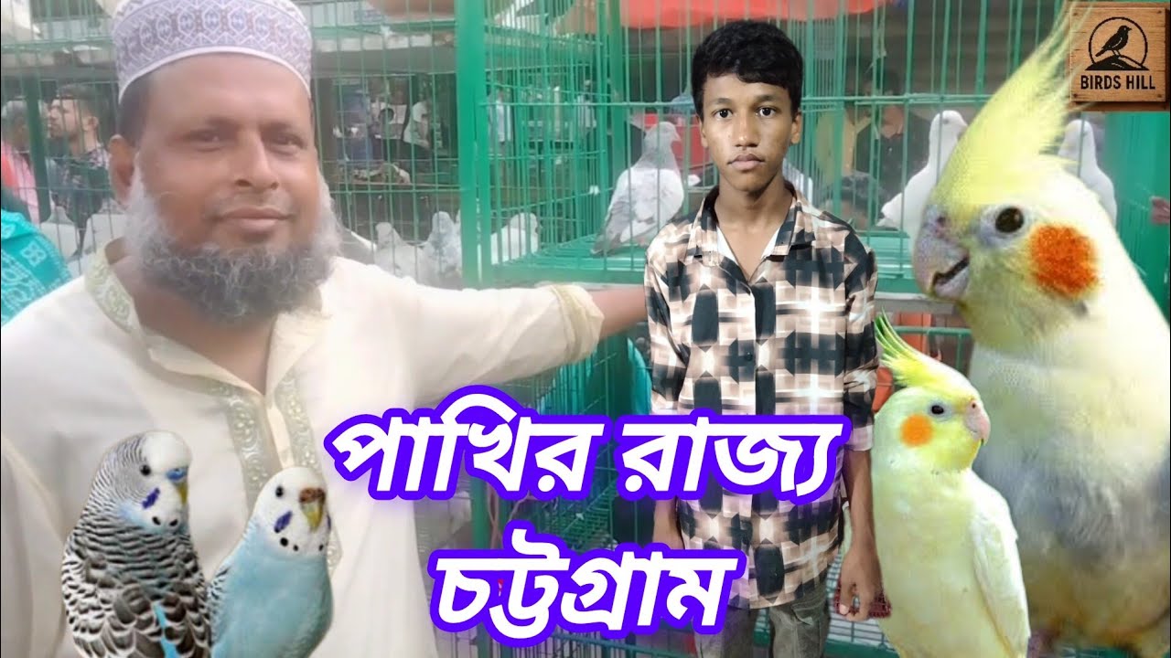 পাখির রাজ্য দেওয়ান হাট। Birds Hill