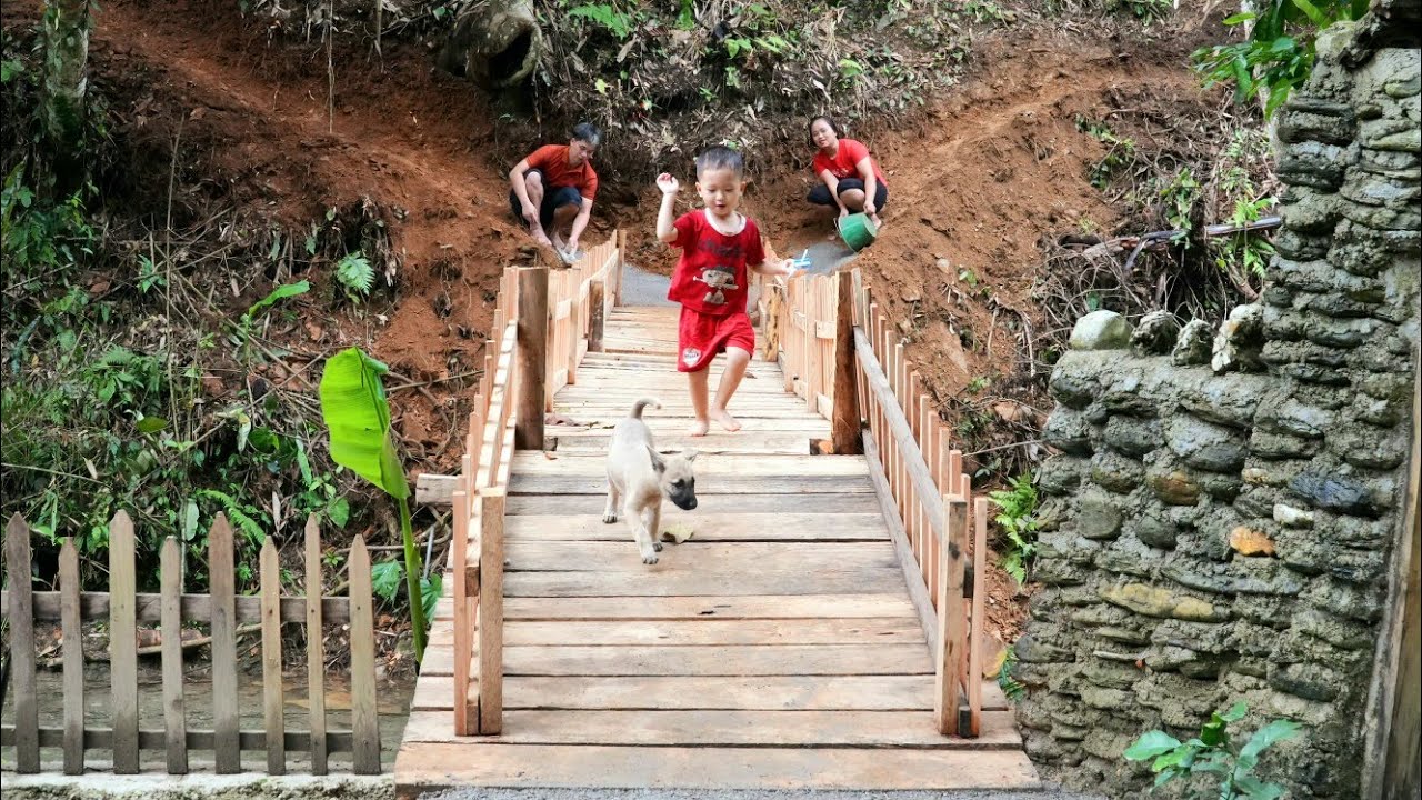 The bridge over the stream has been completed| Harvest rambutan for sale