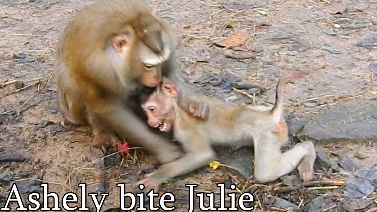 MG! Ashely Bite To Abandon Julie So Strong, Julie Scream Cry Loudly